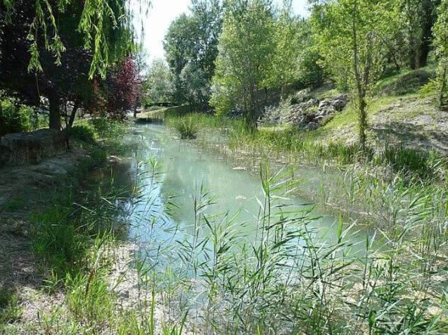 Mazet De Vacances Dans Le Domaine De L'Espai Saint-Martin-de-Bromes Екстер'єр фото